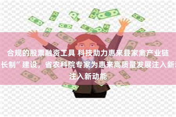 合规的股票融资工具 科技助力惠来县家禽产业链“链长制”建设，省农科院专家为惠来高质量发展注入新动能