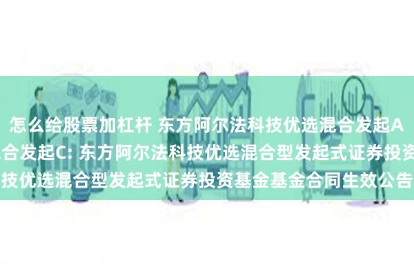怎么给股票加杠杆 东方阿尔法科技优选混合发起A,东方阿尔法科技优选混合发起C: 东方阿尔法科技优选混合型发起式证券投资基金基金合同生效公告