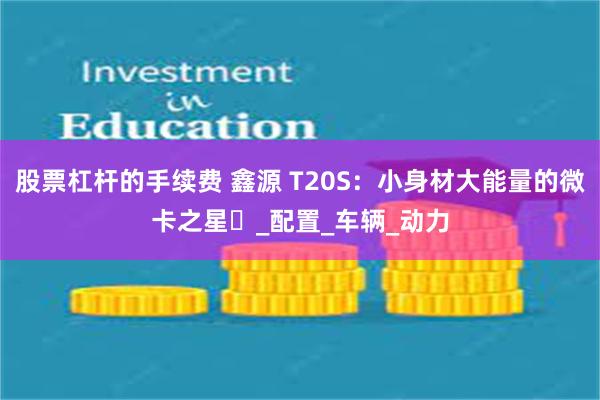 股票杠杆的手续费 鑫源 T20S：小身材大能量的微卡之星​_配置_车辆_动力