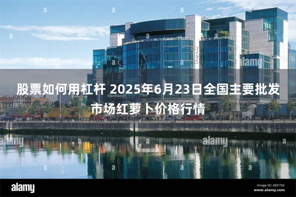 股票如何用杠杆 2025年6月23日全国主要批发市场红萝卜价格行情